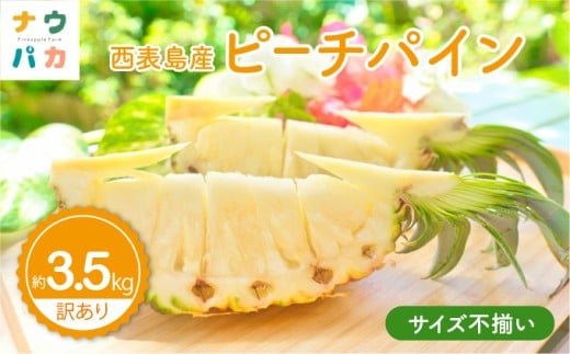 【訳あり】☆新感覚の味わい☆まるで桃のような甘～い香り　『西表島産完熟ピーチパイン』 約3.5kg 約3.5kg