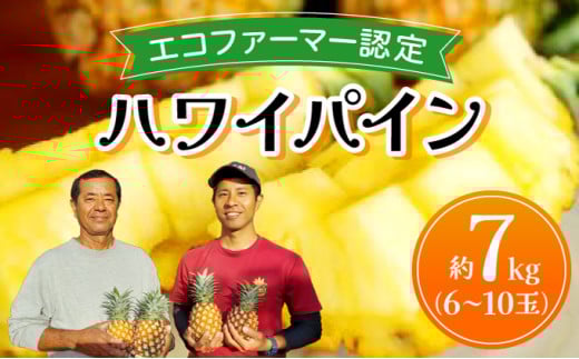 《2026年先行予約》ハワイパイン約7kg 【お届け：2026年6月中旬～7月下旬】【農園ファイミール 完熟 果物 フルーツ パイン パイナップル】 約7kg