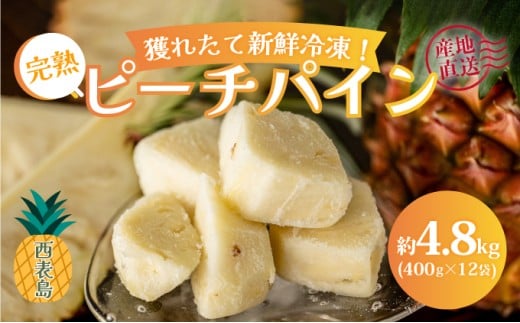 穫れたて新鮮冷凍！西表島の完熟ピーチパイン 4.8kg(400g×12袋) 嘉本商店 完熟 果物 フルーツ 約4.8kg(400g×12袋)　