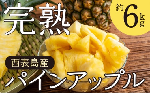 2026年 先行予約 完熟 パインアップル 約6kg 水鴨農園 パイン パイナップル 果物 フルーツ 約6kg