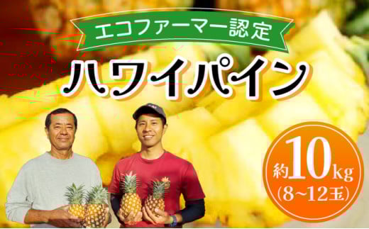 《2026年先行予約》ハワイパイン約10kg 【お届け：2026年6月中旬～7月下旬】【農園ファイミール 完熟 果物 フルーツ パイン パイナップル】 約10kg