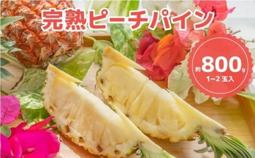 人気No.1　『初ピーチの方に大好評!!』☆新感覚の味わい!!☆桃のような甘～い香りのする芳醇なパイナップル！ 約800g（1～2個入） 約800g（1～2個入）