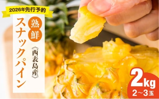 【手でちぎって食べる楽しさ】熟鮮スナックパイン2kg（2～3玉）2026年 先行予約　沖縄　西表島 2kg（2～3玉）