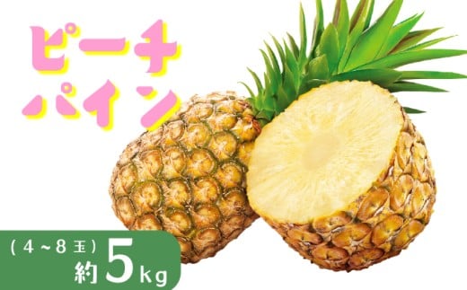 パイナップル ピーチパイン 約5kg 4～8玉 パイン 果物 フルーツ 沖縄 西表島【TOK:iふぁーむ】 配送不可：離島028-a005_2026 【約5kg 】4～8玉