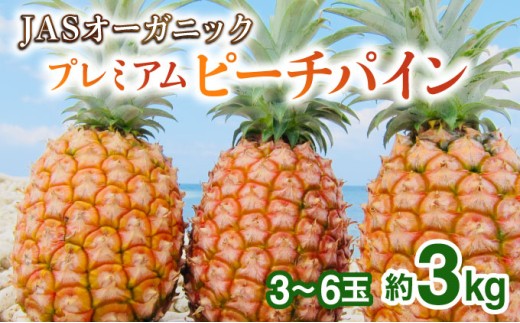 【JASオーガニック】 プレミアムピーチパイン 約3kg 3～6玉 約3kg 3～6玉