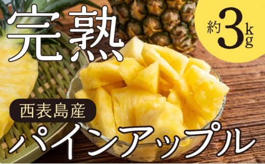2026年 先行予約 完熟 パインアップル 約3kg 水鴨農園 パイン パイナップル 果物 フルーツ 約3kg