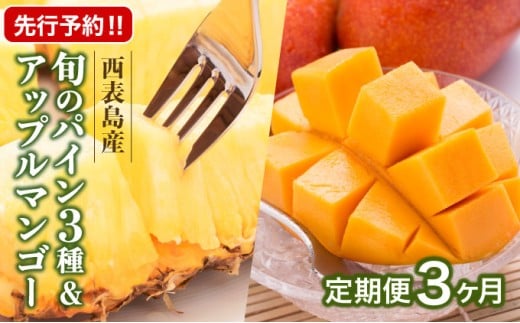 定期便3ヶ月4回 熟鮮スナックパイン 熟鮮ピーチパイン 熟鮮サンドルチェ(R) 3種の旬のパインと アップルマンゴーセット 2026年 先行予約 産地直送 沖縄 西表島