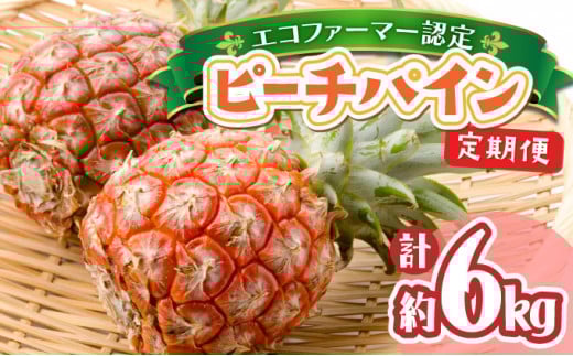定期便 2ヶ月 絶品ピーチパイン 約3kg【E-SOU/Ｅ】 2026年 先行予約 西表島 初エコファーマー認定 パイン 果物 フルーツ 2回 お楽しみ　【036-a003】 約3kg