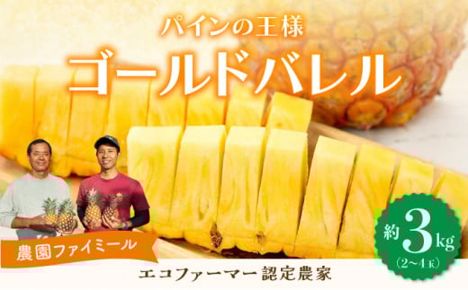 2026年 先行予約 完熟 ゴールドバレル 約3kg 2～4玉入り 最高級 パイン 果物 フルーツ 約3kg (2～4玉入り)