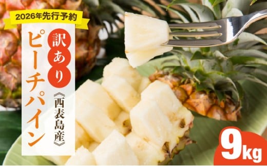 ＜訳あり！＞2026年 先行予約 大きさ不揃い お得！箱にいっぱいピーチパイン9kgセット 約９kg