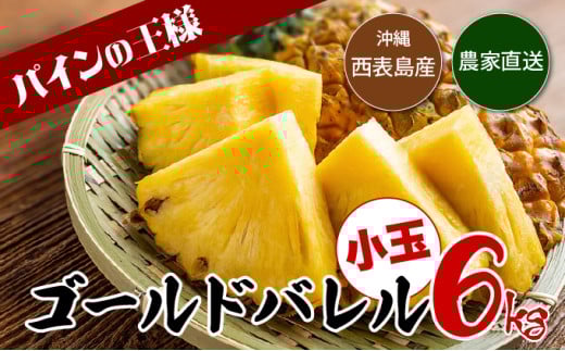 【2026年発送】ゴールドバレルたっぷり小玉セット