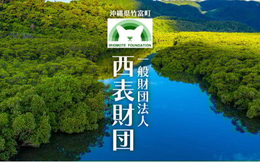 一般財団法人西表財団 感謝状＋西表島フォトコンテスト「西表島カレンダー」付 10万円