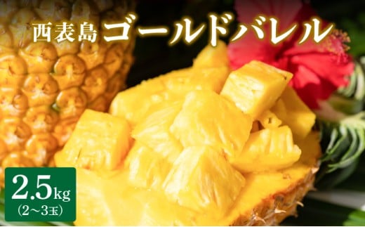 高級感No.1！開発に30年・栽培に3年。パイナップルの最高峰ゴールドバレル2.5kg(2～3玉) 2.5kg(2～3玉)