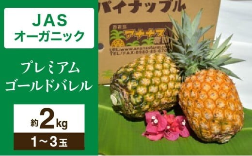 【JASオーガニック】 プレミアムゴールドバレル 約2kg 1～3玉 約2kg 1～3玉