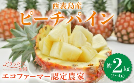 アララガマ農園発祥のピーチパイン。香り高く女性人気NO.1！国内流通量1％未満、幻の完熟ピーチパイン　ピーチパイン2kg（2～4玉） 約2kg（2～4玉）