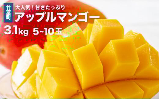 2026年 先行予約 アップルマンゴー 約3.1kg 5～10玉 西表島ひらい農園 マンゴー 果物 フルーツ 約3.1kg（5～10玉）