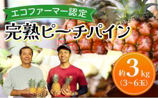 《2026年 先行予約》ピーチパイン 約3kg 3～6玉 農園ファイミール 完熟 果物 フルーツ 約3kg（3～6玉入り）