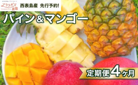 ☆アララガマ農園の定期便☆アララガマ農園のパイナップルを3種とアップルマンゴーを4回に分けてお届け