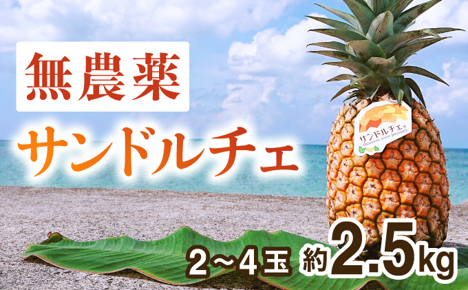 2024年 先行予約 パイナップル ついに実現！ 栽培期間中 完全有機 無農薬 アナナスドルチェ 約2.5kg 2～4玉 果物 フルーツ