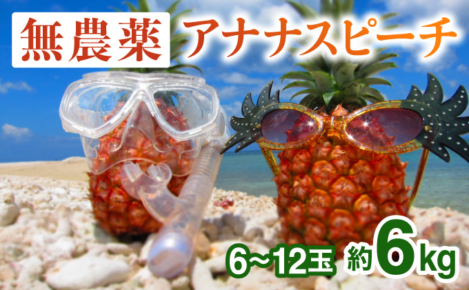 2024年 先行予約 パイナップル ついに実現！栽培期間中 完全 無農薬 アナナスピーチ 約6kg 6～12玉 果物 フルーツ