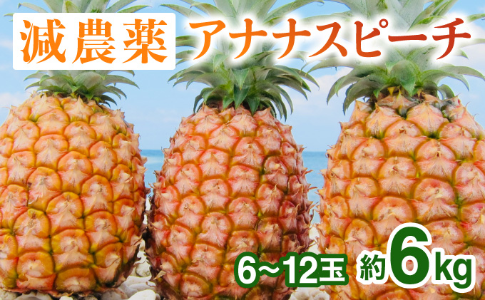 2024年 先行予約 栽培期間中 減農薬 ピーチパイン 約6kg 6～12玉 西表島アナナス農園 完熟 パイン 果物 フルーツ