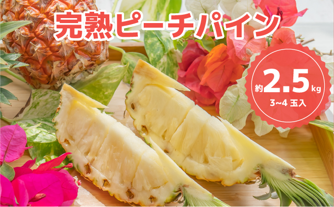 ☆新感覚の味わい☆桃のような芳醇な香りのする　『西表島産完熟ピーチパイン』 約2.5kg（3～4個入）[025-a008_2026]