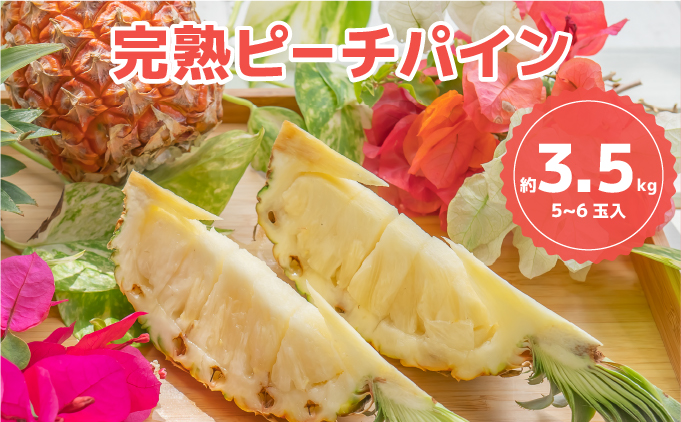 ☆新感覚の味わい☆桃のような芳醇な香りのする　『西表島産完熟ピーチパイン』 約3.5kg（5～6個入）[025-a027_2026]