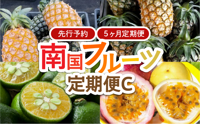 2026年 先行予約 定期便 5ヶ月 南国フルーツ 定期便C パイン シークヮーサー パッションフルーツ 計4種類 果物 フルーツ 5回 お楽しみ 026-a011_2026