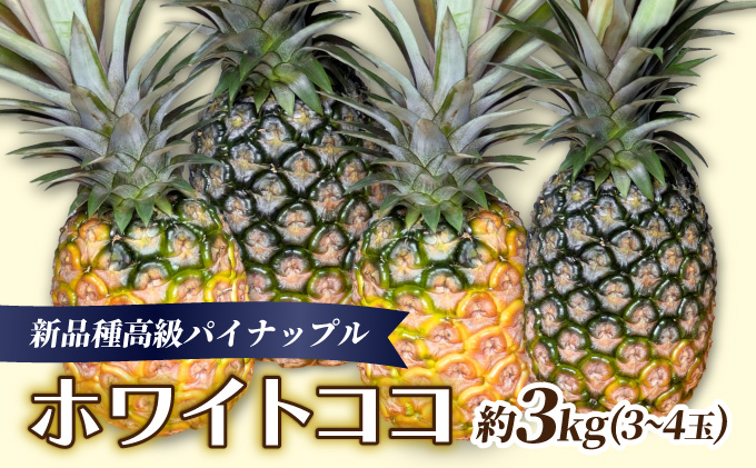 新品種高級パイナップル ホワイトココ 希少品種
