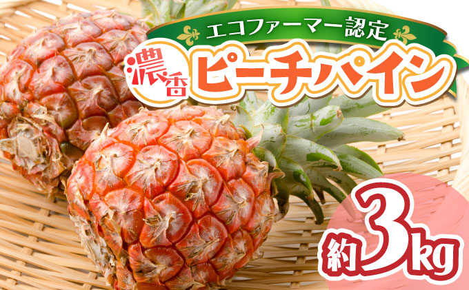 2026年 先行予約 栽培期間中 農薬不使用 ピーチパイン 約3kg ★絶品★西表島 濃香 初エコファーマー認定 036-a002_2026