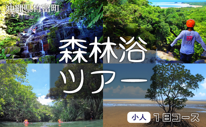 西表島 森林浴1日ツアー 小人1名分