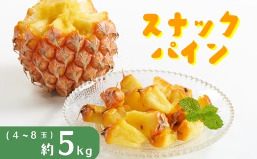パイナップル スナックパイン 約5kg 4〜8玉 パイン 果物 フルーツ 沖縄 西表島[TOK:iふぁーむ] 配送不可:離島028-a007_2026
