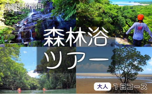 西表島 森林浴1日ツアー 大人1名分 【 旅行 体験チケット 西表島ツアー 大自然 体験ツアー 観光 沖縄 森林浴 アクティビティ】