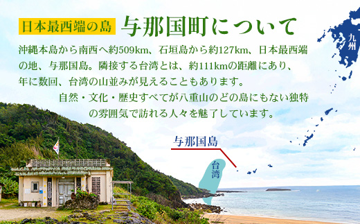 【返礼品なし】日本最西端の地 与那国島の未来の為の応援寄附(5000円) 国境の島 与那国町 返礼品無し Y003
