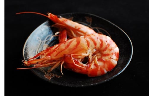 【12/10迄の申込で年内発送】こだわりの車海老　有頭車海老（冷凍）250ｇ×3パック F009