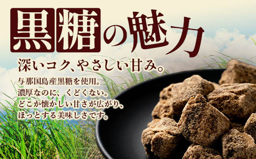 与那国島 塩黒糖（100g）×10袋 A007