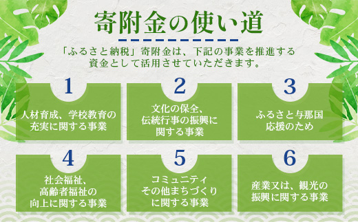 【返礼品なし】日本最西端の地 与那国島の未来の為の応援寄附(1000円) 国境の島 与那国町 返礼品無し Y001
