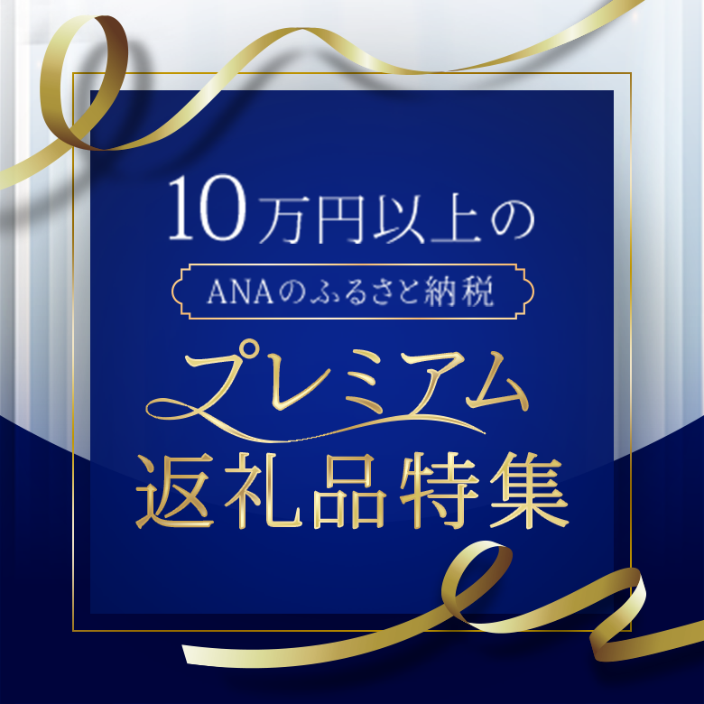 10万円以上のANAのふるさと納税 プレミアム返礼品