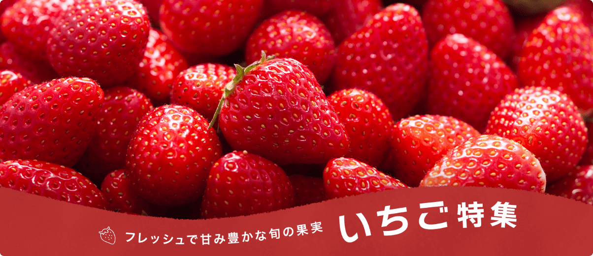 フレッシュで甘み豊かな旬の果実 いちご特集