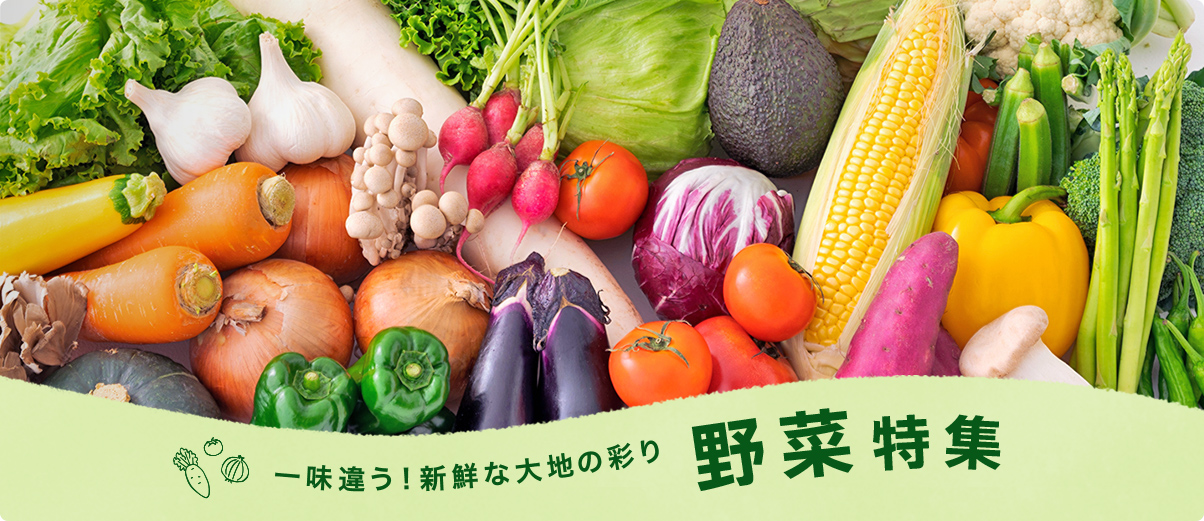 一味違う！新鮮な大地の彩り 野菜特集
