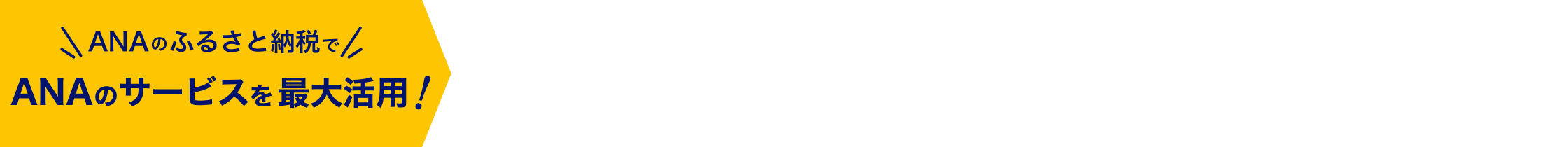 ANAのふるさと納税でANAサービスを最大活用！