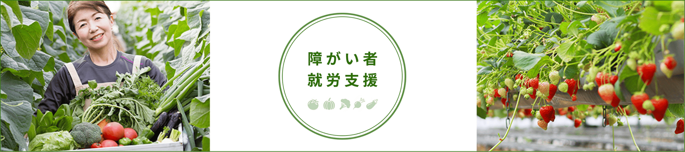 障がい者就労支援